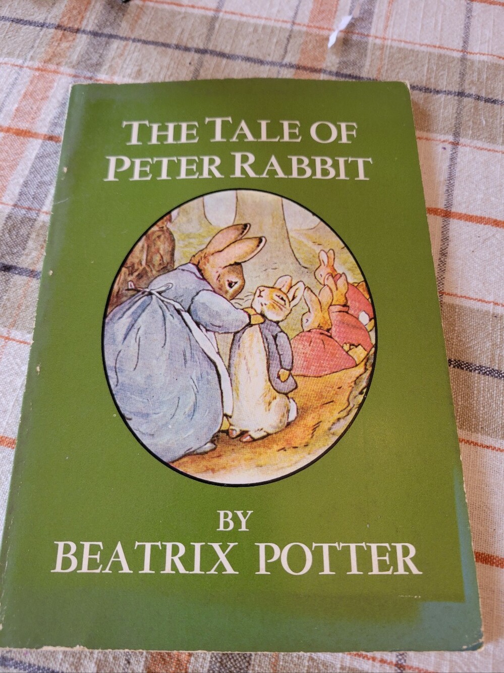 Peter Rabbit Barbie With Picture Book! - Picture 2 of 10